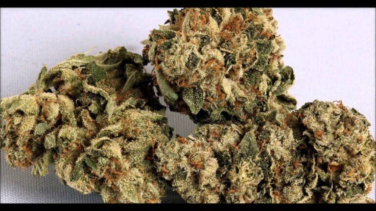 White Runtz Weed Strain