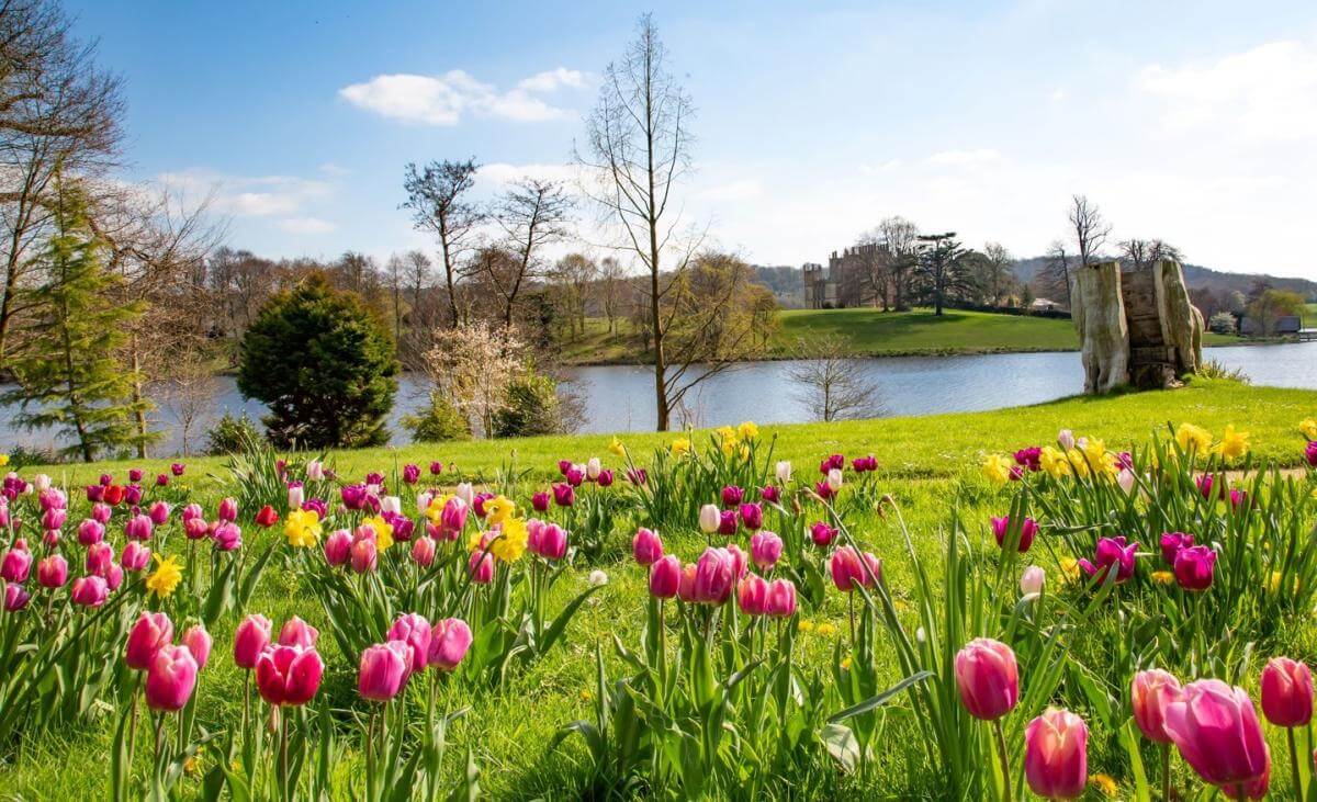 Dorset Gardens
